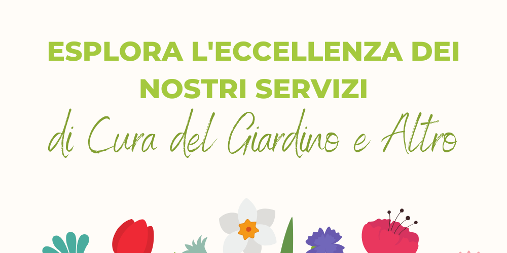 I nostri servizi – Post Social