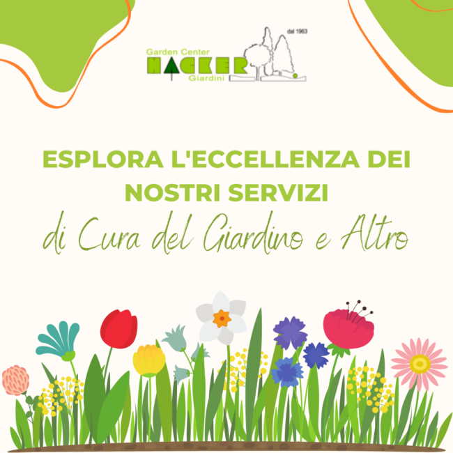 I nostri servizi – Post Social