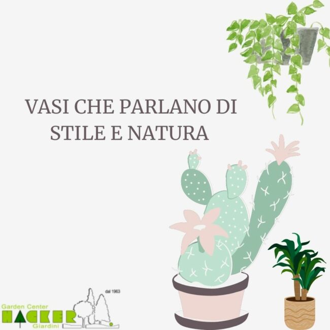vasi-e-fioriere-post-social