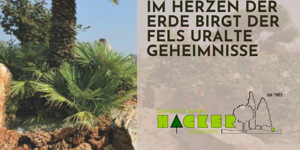 rocce-e-ghiaie-post-social-de