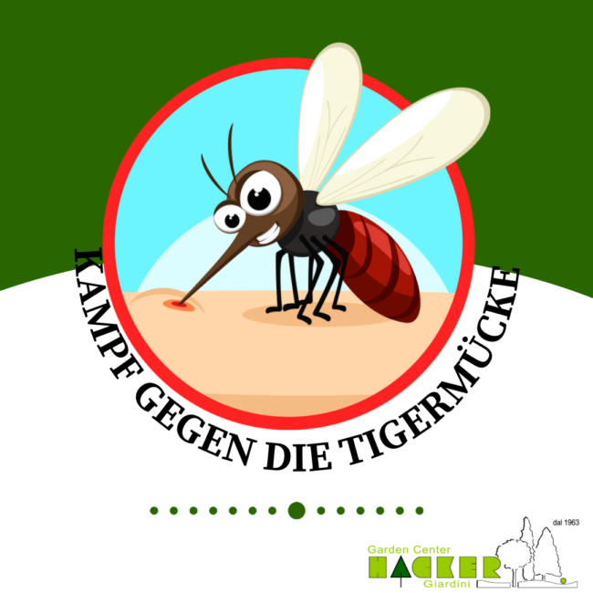 lotta-zanzara-tigre-2024-instagram-de