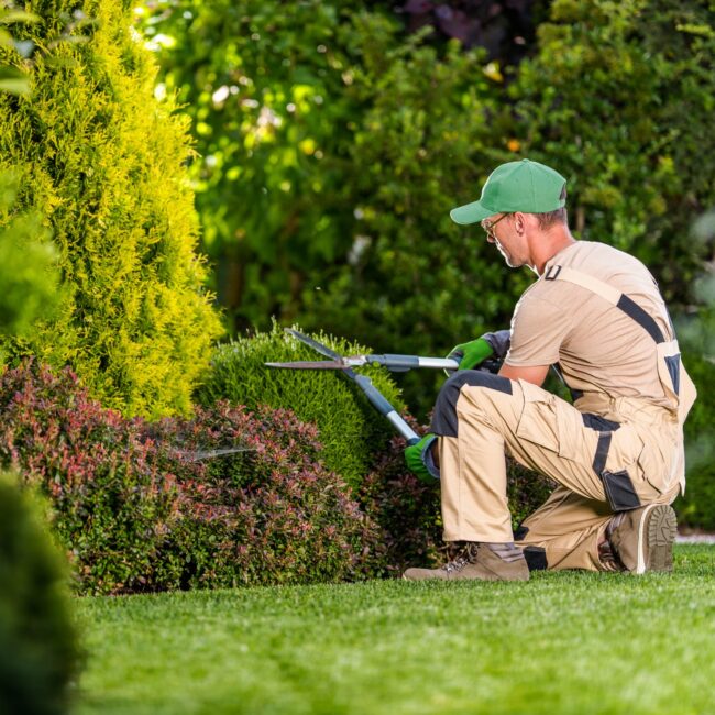 Hacker Giardini – Immagine prepare il giardino